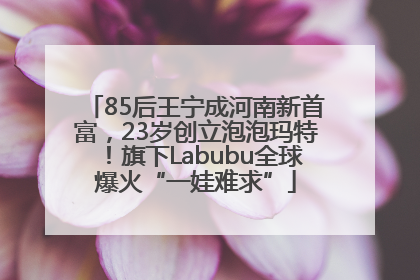 85后王宁成河南新首富，23岁创立泡泡玛特！旗下Labubu全球爆火“一娃难求”