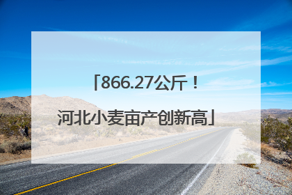 866.27公斤！河北小麦亩产创新高