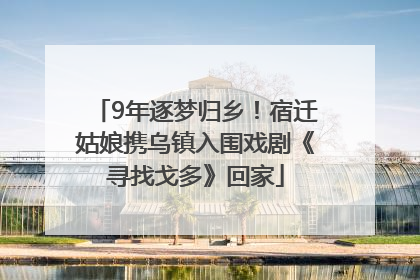 9年逐梦归乡！宿迁姑娘携乌镇入围戏剧《寻找戈多》回家