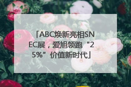 ABC焕新亮相SNEC展，爱旭领跑“25%”价值新时代