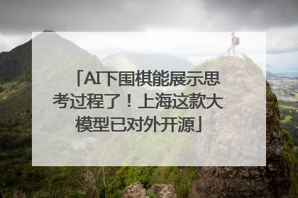 AI下围棋能展示思考过程了！上海这款大模型已对外开源