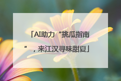 AI助力“挑瓜指南”，来江汉寻味甜夏
