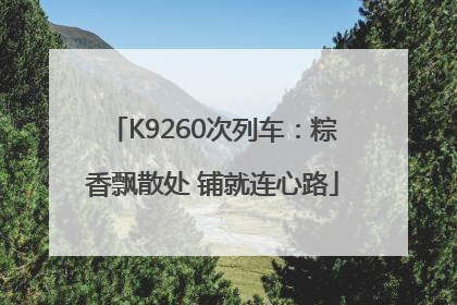 K9260次列车：粽香飘散处 铺就连心路