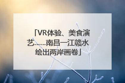 VR体验、美食演艺……南昌一江赣水绘出两岸画卷